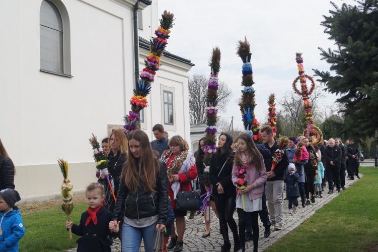 Zdjęcie z galerii