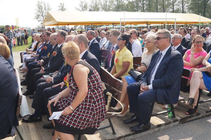 Zdjęcie z galerii