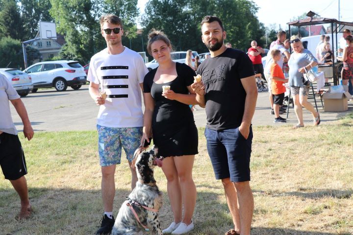 Zdjęcie z galerii