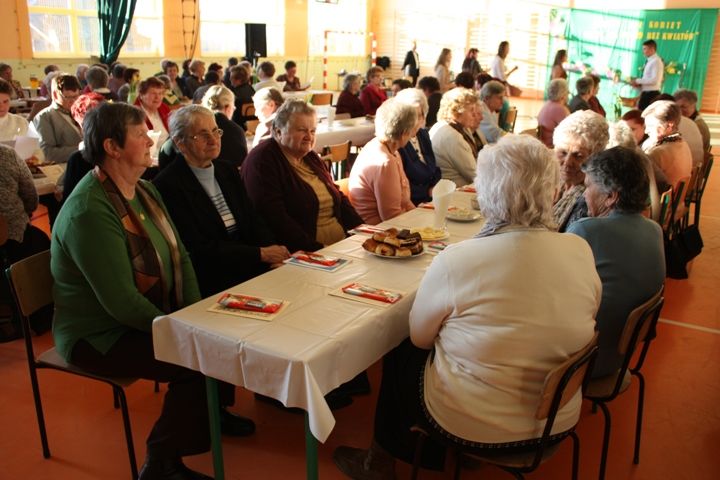 Zdjęcie z galerii