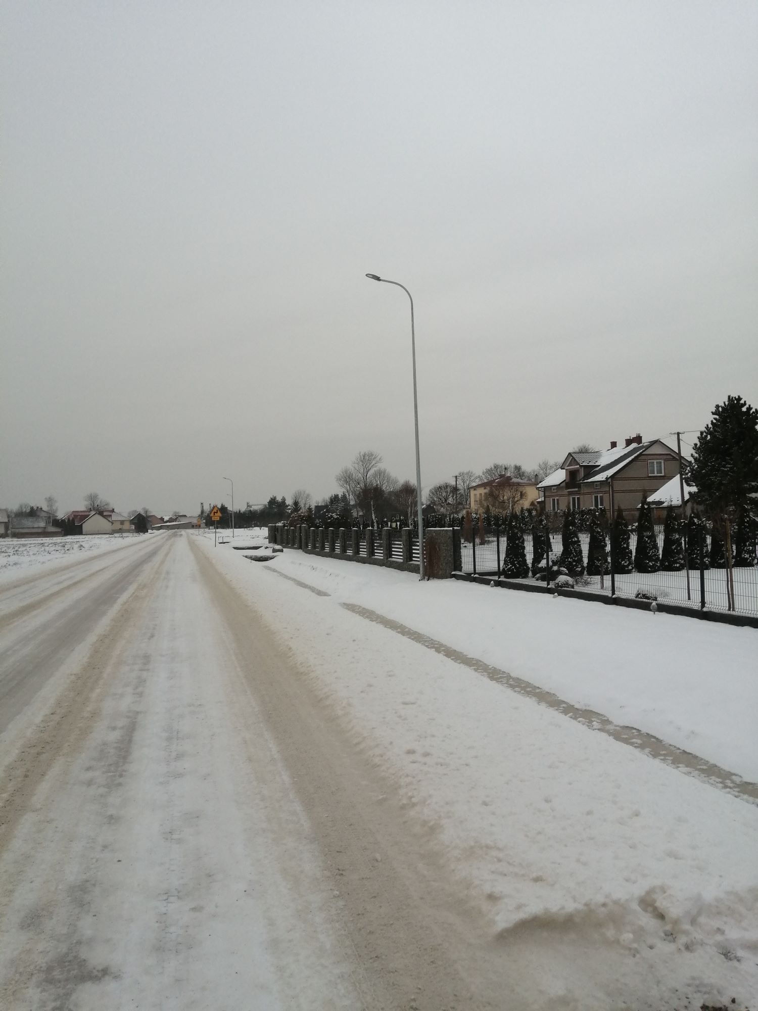 Zdjęcie z galerii