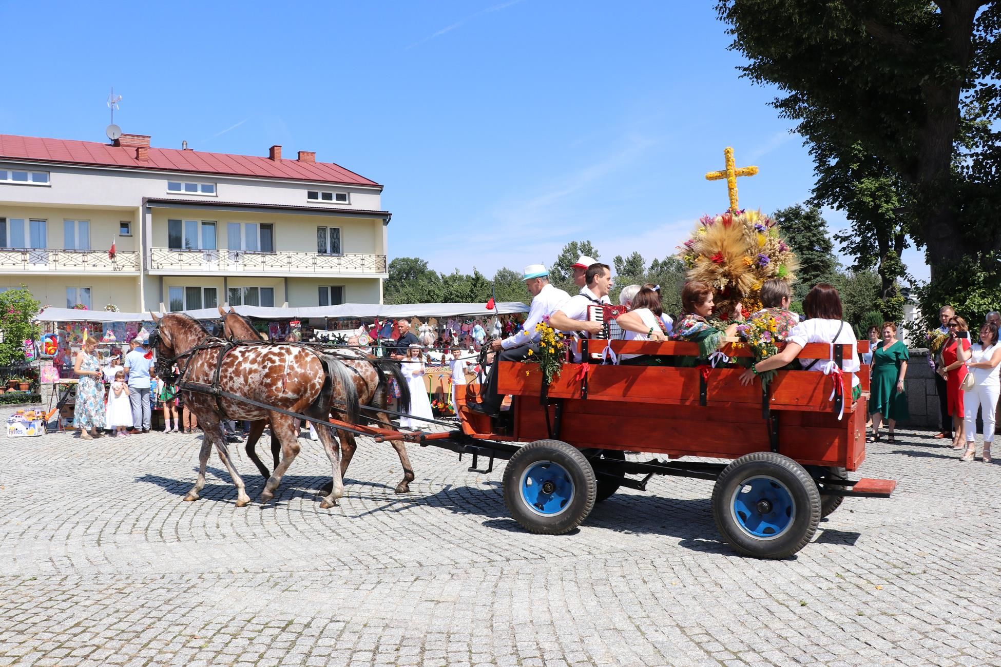Zdjęcie z galerii