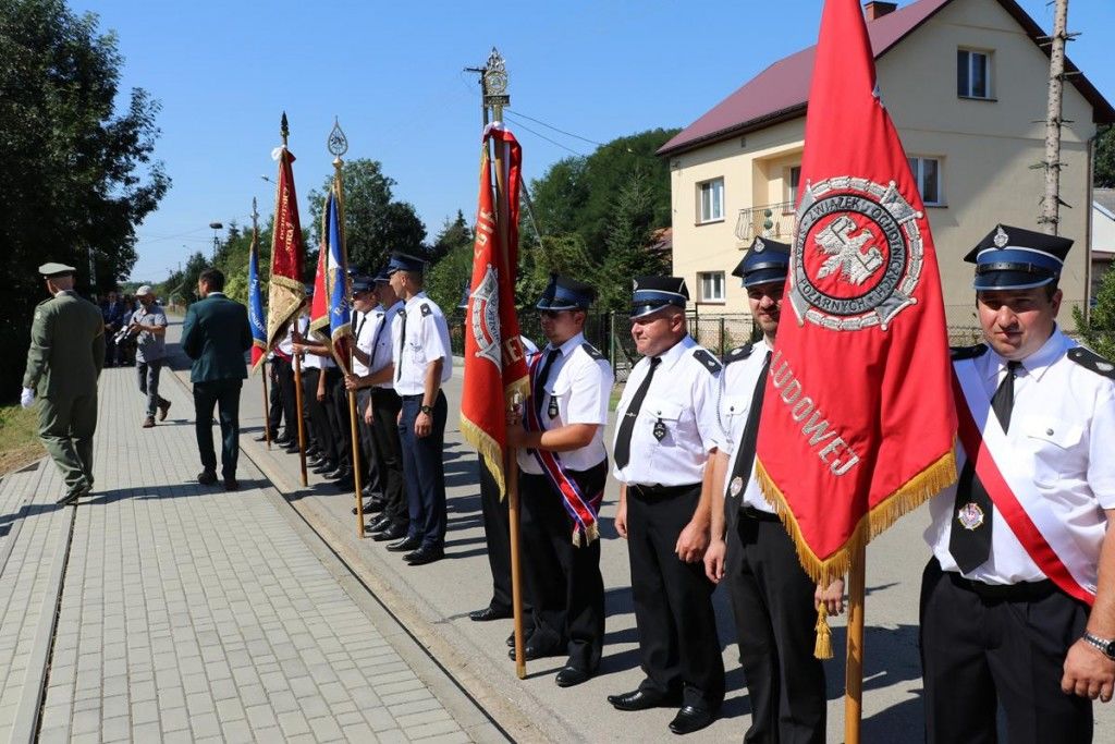 Zdjęcie z galerii