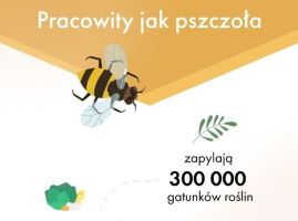 Pracowity jak pszczoła miniatura