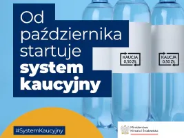 System Kaucyjny Miniaturka