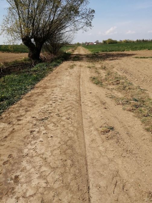 Zdjęcie z galerii
