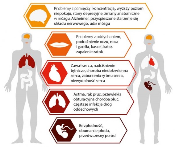 files/pliki/aktualnosci/2019/11listopad/Wplyw zanieczyszczen powietrza na zdrowie ludzi/Wplyw zanieczyszczen powietrza na zdrowie ludzi.jpg