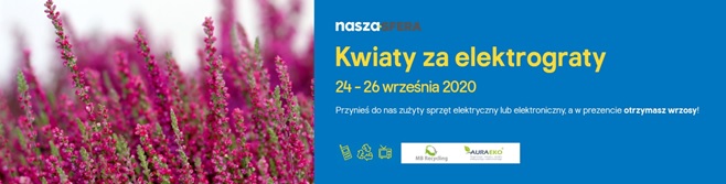 Kwiaty za elektrograty.jpg