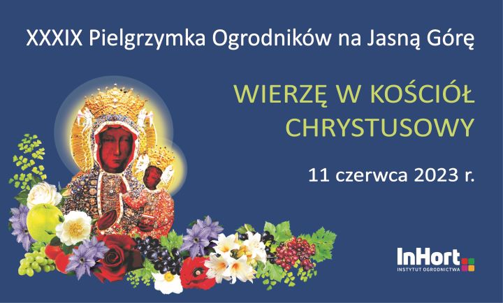 Pielgrzymka_baner