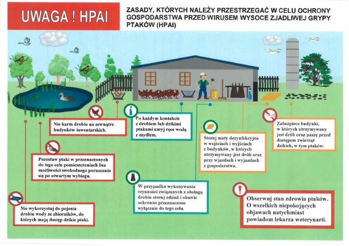 Ulotka ptasia grypa 1