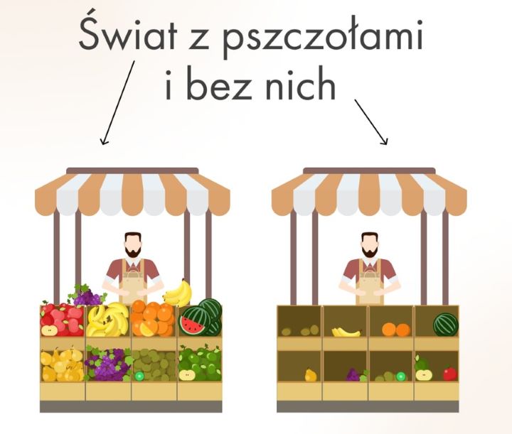 Świat z pszczołami i bez nich