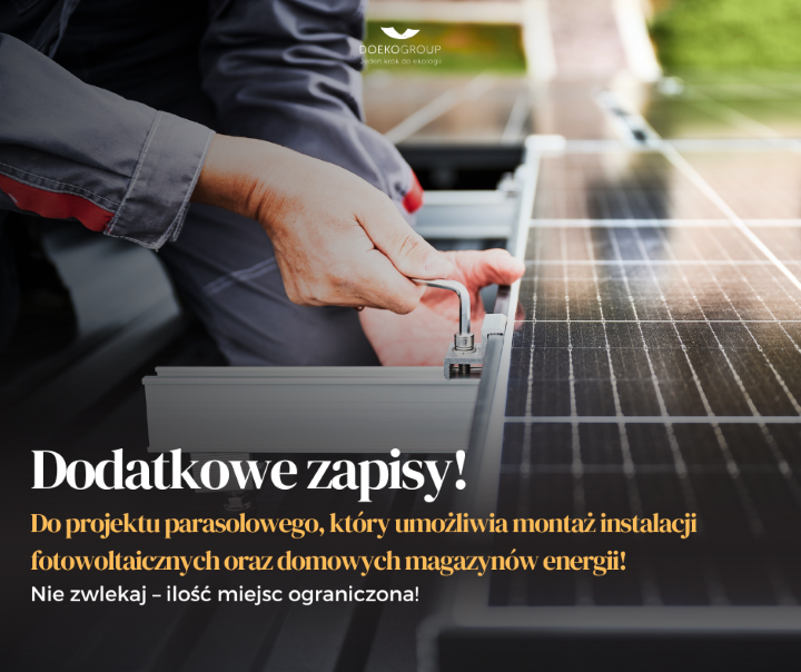 Grafika projekt parasolowy