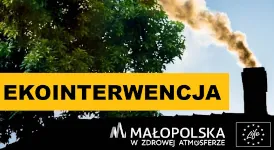 Ekointerwencja